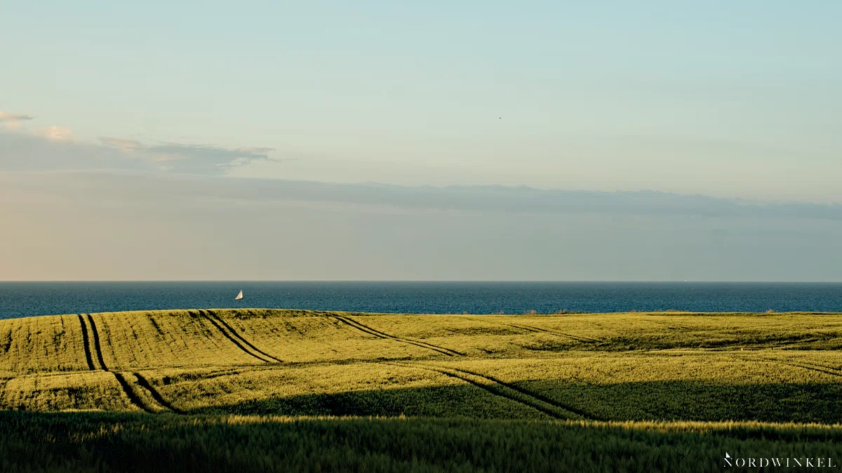 segelboot auf der ostsee vor einem grünen feld