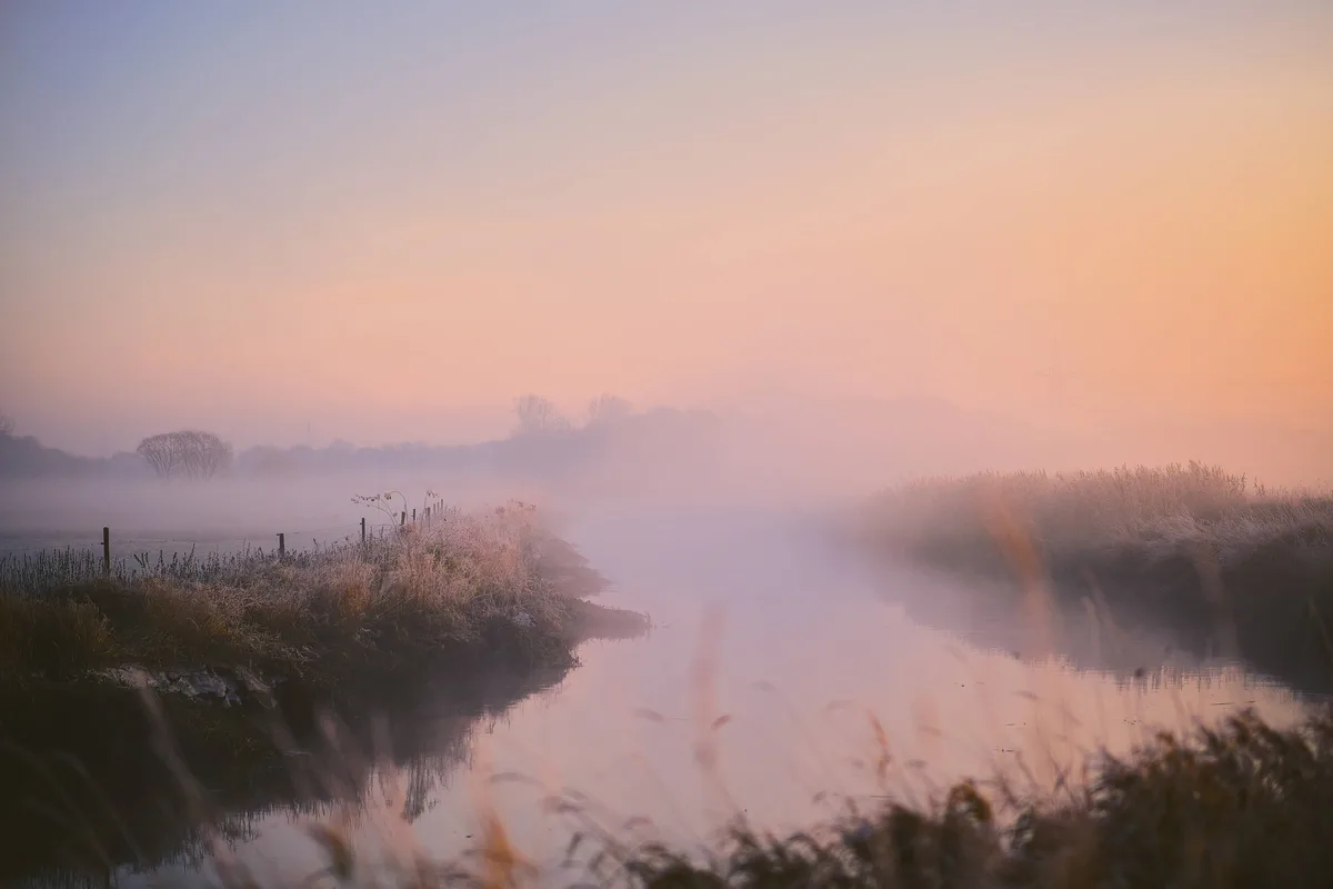 nebel zum sonnenaufgang über flusslauf an einer wiese