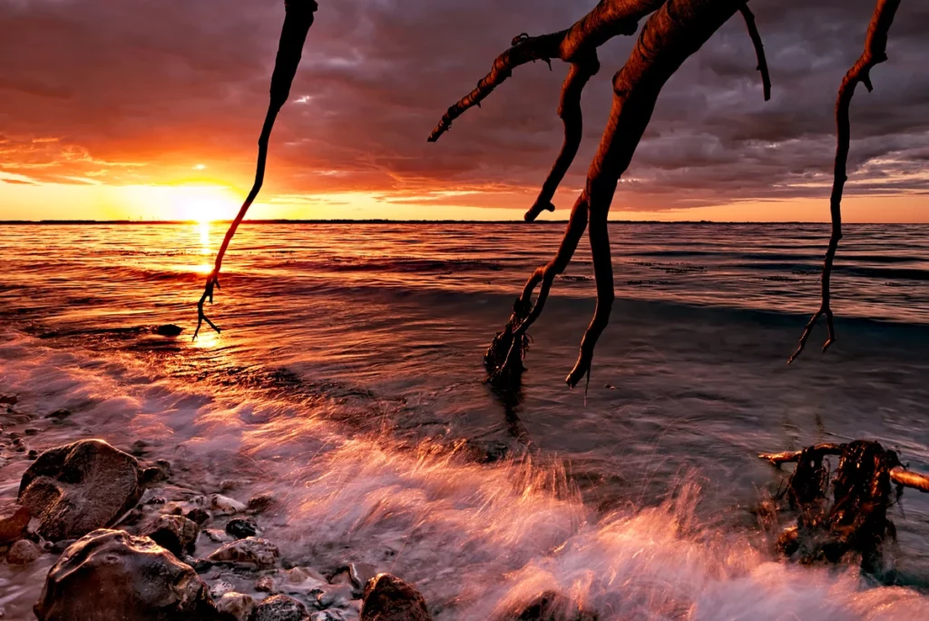 umgestürzter baum am strand zum sonnenuntergang mit brechender welle