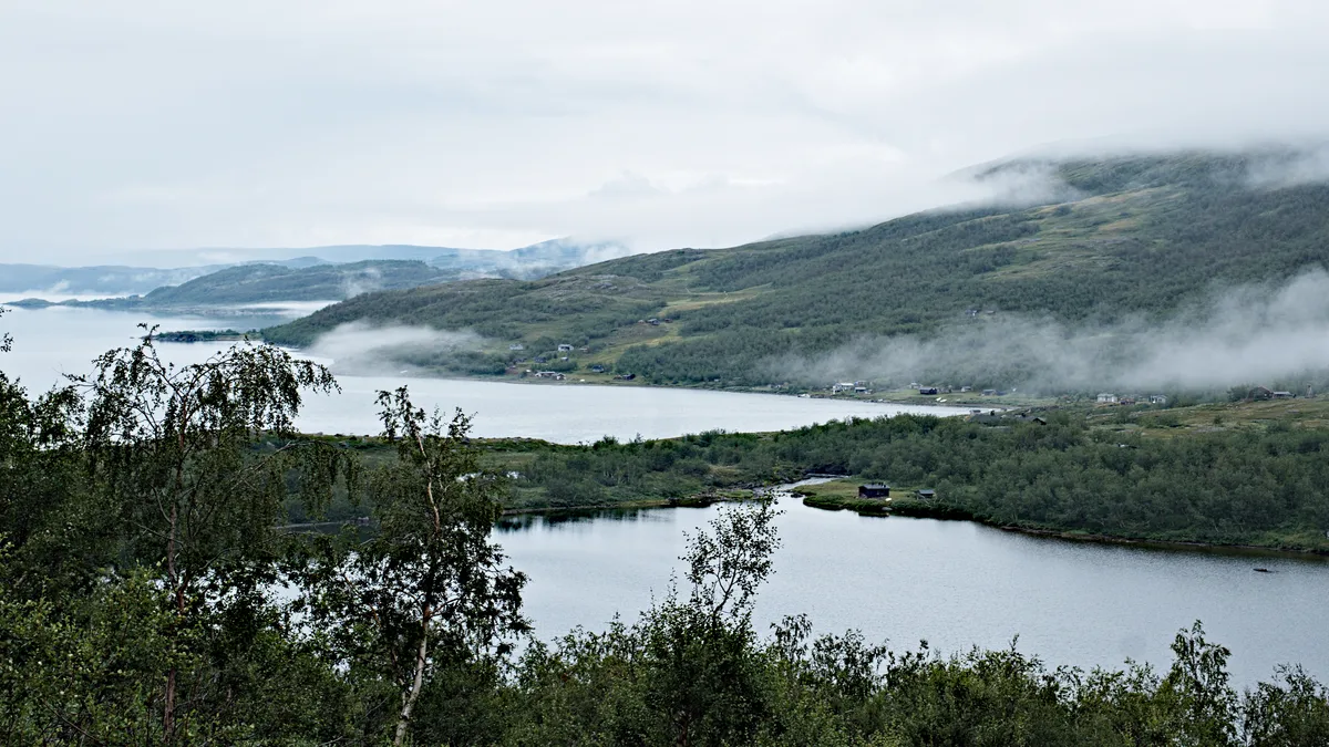 nebelschwaden über bewaldeten hängen an einem see