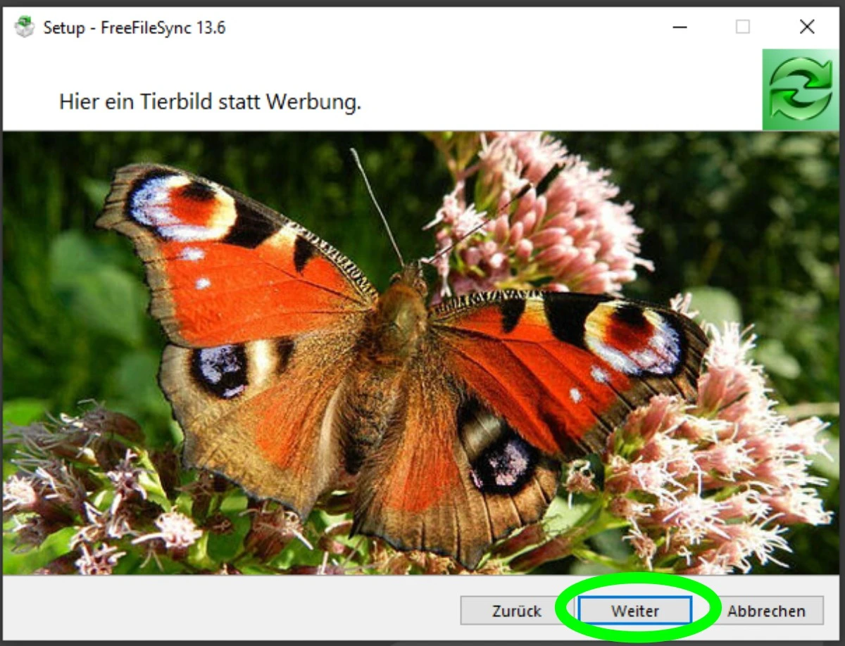 zwischenschritt mit schmetterlingsbild